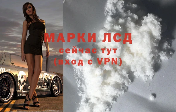 ГАЛЛЮЦИНОГЕННЫЕ ГРИБЫ Медвежьегорск