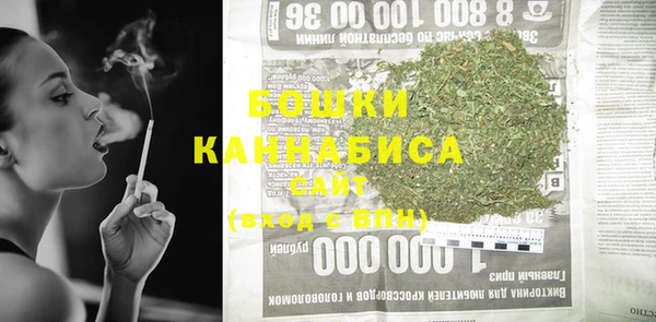 PSILOCYBIN Магас
