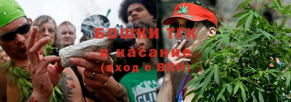 PSILOCYBIN Магас