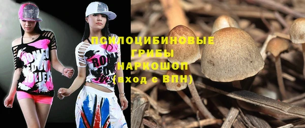 ГАЛЛЮЦИНОГЕННЫЕ ГРИБЫ Медвежьегорск