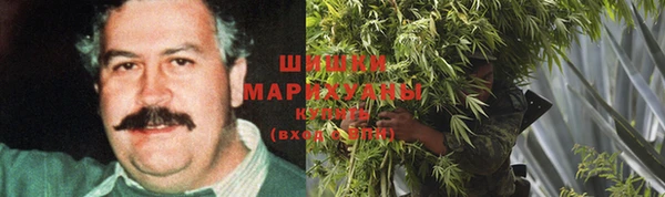 ГАЛЛЮЦИНОГЕННЫЕ ГРИБЫ Медвежьегорск